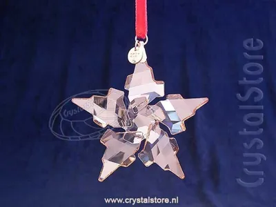 Immagine prodotto di Swarovski Festive Jahresausgabe 2021 Ornament 5583847