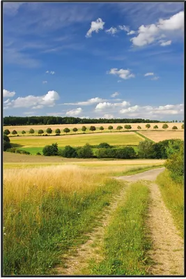 Produktbild von Wallario Wandbild Feldlandschaft unter blauem Himmel, Größe: 61 x 91,50 cm, Poster mit schwarzem Aluminiumrahmen