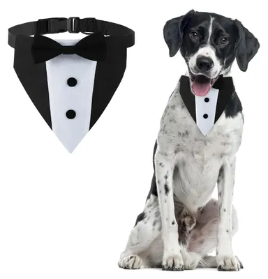 Immagine prodotto di Solidchoice - Fazzoletto da smoking per cani, ideale per matrimoni