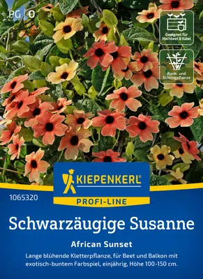 Produktbild von Kiepenkerl Schwarzäugige Susanne-Samen African Sunset Thunbergia alata 10 Pflanzen