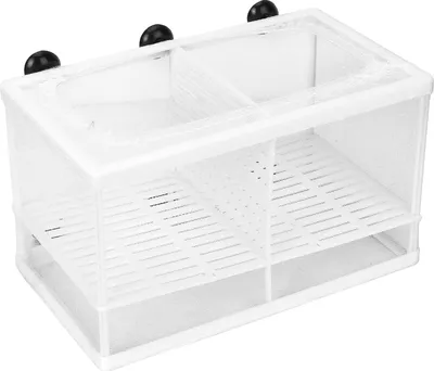 Immagine prodotto di Box di allevamento di pesci d'acquario Incubatore di incubazione di isolamento con ventosa (con divisorio)
