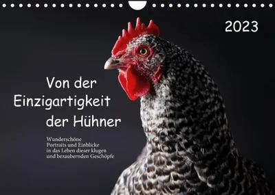 Produktbild von Von der Einzigartigkeit der Hühner 2023 (Wandkalender 2023 DIN A4 quer)