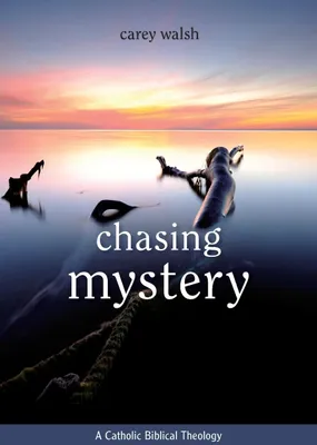 Produktbild von Chasing Mystery