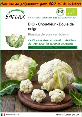 Image de SAFLAX Garden in the bag -- Chou-fleur - Boule de neige - 70 graines - Brassica