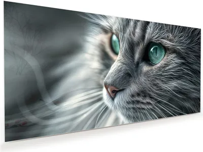 Produktbild von Glasbild 100x50cm in XXL für Wohnzimmer, Schlafzimmer Motiv Nahaufnahme Katze