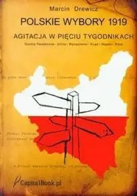 Productafbeelding van De Poolse verkiezingen van 1919