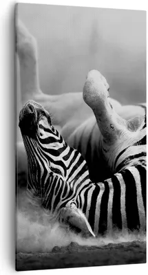 Produktbild von Bild auf Leinwand - Leinwandbild - Zebra Streifen Tier wild - 55x100cm - Wand Bild - Wanddeko - Leinwanddruck - Bilder - Kunstdruck - Wanddekoration - Leinwand bilder - Wandkunst - PA55x100-2699