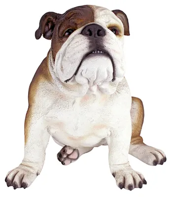 Bulldog Tuinbeeld, Polyhars, 40,5x35,5x35,5 cm