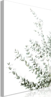 Produktbild von Italienischer Leinwand Leinwandbild - Eucalyptus Parvifolia (1 Part) Vertical 80x120 cm Blätter b-B-0649-b-a