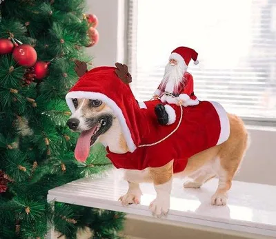 Produktbild von Famanu Hundekostüm Weihnachtsmann - Rot, Größe XL