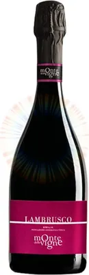 Produktbild von Lambrusco Secco IGT - Monte delle Vigne