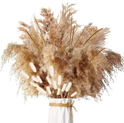 Produktbild von Getrocknetes Pampasgras-Bouquet – 45 Stück, natürliche Dekoration – Flauschige, braune Pampasgras-Ähren für Hochzeitstisch und Wohnzimmer