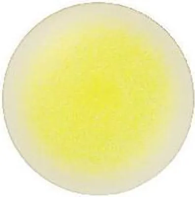 Produktbild von ASA Platzteller Koi  d. 32 cm, h. 1,8 cm