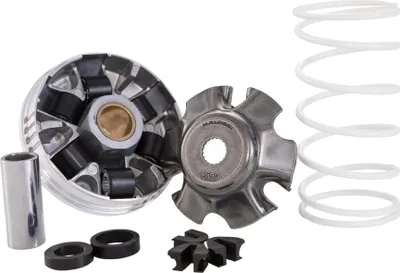 Produktbild von Malossi Variator Multivar 2000 kompatibel mit Piaggio 50ccm ab 98 - Runner, NRG extreme, D.N.A, Gegendruckfeder: weiß , Gewichte: 19x15,5
