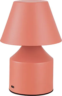 Image de Lampe Led Rechargeable Rose éclairage D'appoint Sans Fil 3cct - Fbright