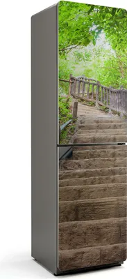 Zdjęcie produktu dla Schody w zielonym lesie - Pokrowiec magnetyczny na lodówkę - Pokrowiec magnetyczny na lodówkę - Folia magnetyczna na drzwi lodówki - 60x205 cm - Samoprzylepna tablica magnetyczna - Folia magnetyczna na drzwi lodówki