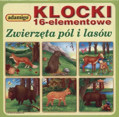 Zdjęcie produktu dla Adamigo Klocki Drewniane 16 Elementów - Mix Wzorów, Zabawka Edukacyjna Dla Dzieci
