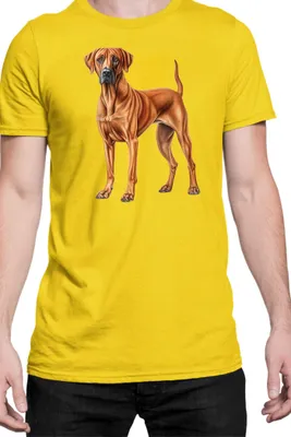 Obrázek produktu pro Pánské Tričko Dogs Breeds Rhodesian Ridgeback Dog Breed 006, Man L / Žlutá