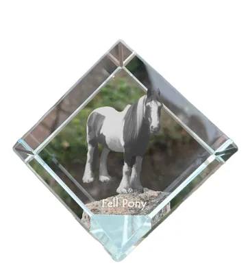 Produktbild von Fellpony Kristallwürfel mit Pferd Art-Dog