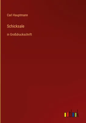 Produktbild von Schicksale