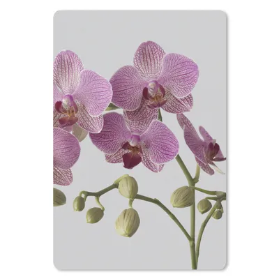 Produktbild von MuchoWow® Mauspad Mousepad Orchideen auf grauem Hintergrund 18x27 cm - Mousepads - Maus Mat - Pad - Mausunterlage
