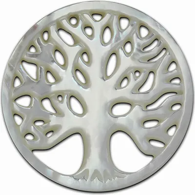 Produktbild von Amello Coinsschmuck weiß 30 mm Einleger Perlmutt Coin Lebensbaum Damen ESC601W