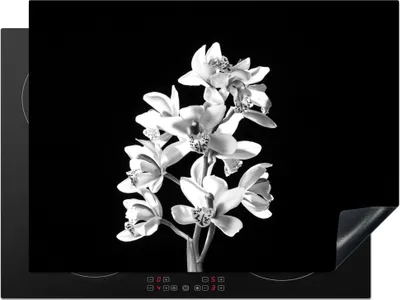 Produktbild von KitchenYeah© Herdabdeckplatte Eine weiße Orchidee vor schwarzem Hintergrund - schwarz und weiß , 70x52cm, Küche Deko, Glaskeramikkochfeld Herdabdeckung, Abdeckplatte fùr Kochfeld