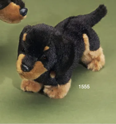A plush toy dog on a green background.
