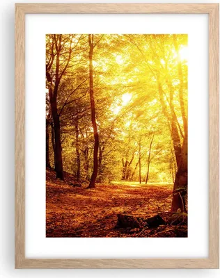 Produktbild von Gerahmtes Poster - Rahmen in heller Eiche - Wald Baum Natur - 30x40 cm - Wand Bild - Wanddeko - Wandbilder - Kunstposter - Wandposter - Bilderrahmen - Bilder - Kunstdruck - Wandbild - P2NPA30x40-3722