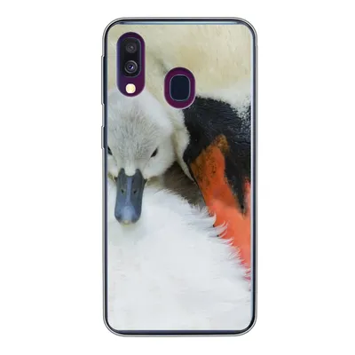 Produktbild von MuchoWow® Handyhülle Schutzhülle Hülle für Samsung Galaxy A40 Schwan - Küken - Makro Silikon Softcase Handy Hülle - Handy-Tasche
