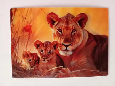 Produktbild von 3 D Ansichtskarte Löwin mit Jungen, Postkarte Wackelkarte Hologrammkarte, Tiere Zootier Wildtier
