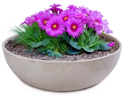 Immagine prodotto di Fioriere per esterni Ciotole decorative rotonde beige sabbia 25 cm