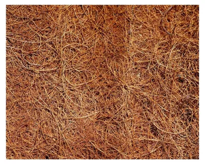 Produktbild von 2 Stück Kokosscheibe Ø 45 cm aus 100% Kokosfasern - Kokosmatte für Pflanzenwinterschutz - Frostschutz für Topf- und Kübelpflanzen