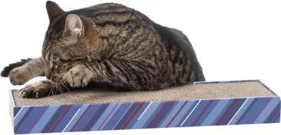 Obrázek produktu pro Trixie Škrábací karton SCRATCHY s catnipem 13x48cm