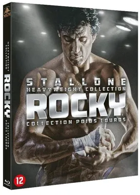 Obrázek produktu pro Kolekce těžkých boxerských rukavic Rocky