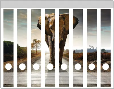 Produktbild von Wallario Ordnerrücken Sticker, selbstklebend für schmale Ordner, 8 Stück, Motiv Elefant bei Sonnenaufgang in Afrika