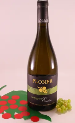 Immagine prodotto di Sauvignon Exclusiv - 2022 - Cantina Plonerhof