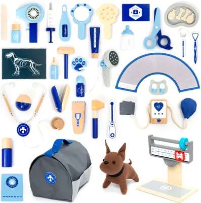 A collection of toy veterinary medical instruments and accessories arranged on a white background.