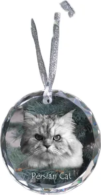 Image de Chat persan - décoration en cristal avec photo, photo de chat dans le cristal, décoration de Noël personnalisée de la marque Art-Dog