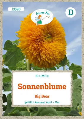 Produktbild von Grüne Fee - Sonnenblume Big Bear Samen - 13590