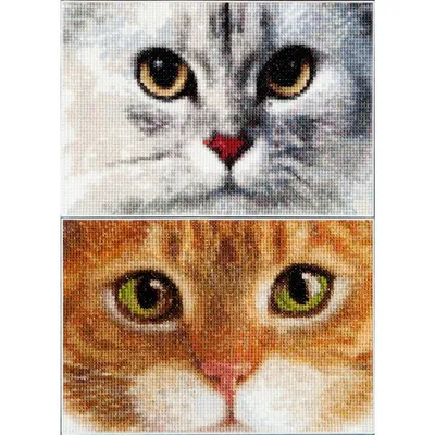 Imagen del producto de Kit de bordado a punto de cruz Thea Gouverneur "Gatos Tiger y Kitty", tela Aida de 16 hilos, patrón, 17x12 cm
