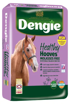 Image de Optifeed Dengie Healthy Hooves Molasses Free avec MSM : foin haché pour chevaux enrichi en biotine - 20 kg