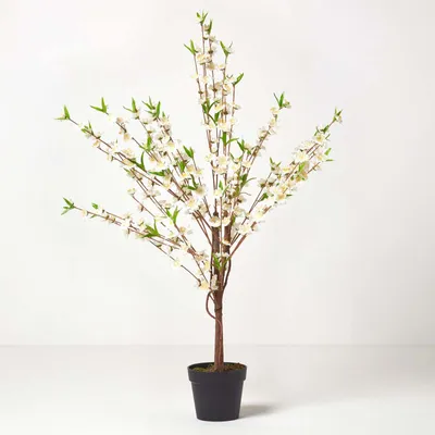 Obrázek produktu pro HOMESCAPES Umělý strom s třešňovými květy, krémový, 135 cm vysoký