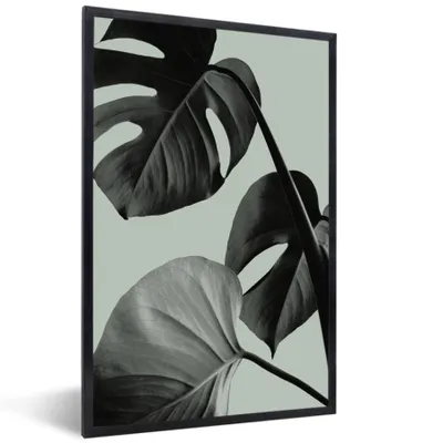 Produktbild von MuchoWow® Gerahmtes Poster Monstera - Blätter - Grün - Stilleben 40x60 cm - Poster mit Schwarzem Bilderrahmen Wandposter Rahmen Foto Bilder - Papierdruck - Wandbilder
