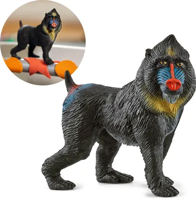 Produktbild von Schleich Wild Life - Affe Mandril, Figur für Kinder ab 3 Jahren