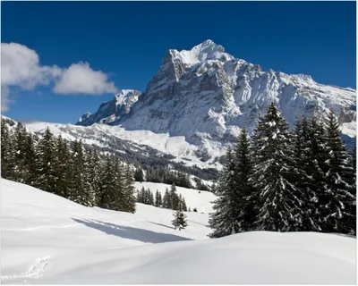 Produktbild von Wallario Poster - Verschneiter Berghang unter blauem Himmel, Kunstdruck Größe: 40 x 50 cm