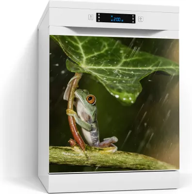 Produktbild von DEQORI Magnetmatte Spülmaschine beschreibbar 60x60 cm 'Regenwaldjuwel' Magnetfolie