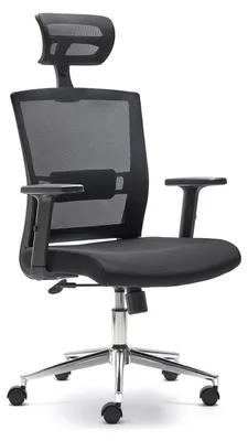 Image de Chaise de bureau ergonomique avec support lombaire réglable et accoudoirs réglables