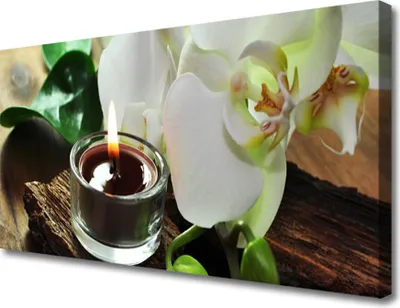 Produktbild von Tulup Leinwand-Bilder 100x50 Wandbild Canvas Kunstdruck Blume Kerze Pflanzen