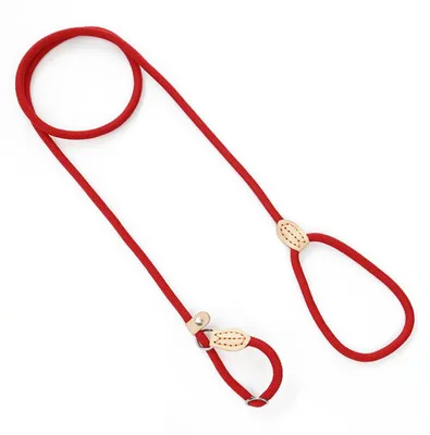Productafbeelding van Hondenlijn met halsband en geïntegreerde hondenketting